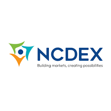 National Commodity and Derivatives Exchange Ltd. (NCDEX)